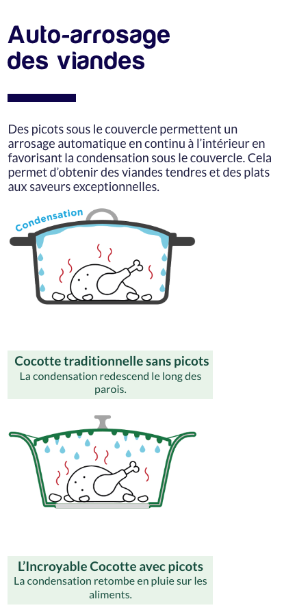 COOKUT - Cocotte 24 CM POLAIRE (Blanche) 